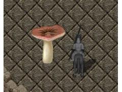 Cogumelo Gigante