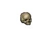 Cranio de Esqueleto